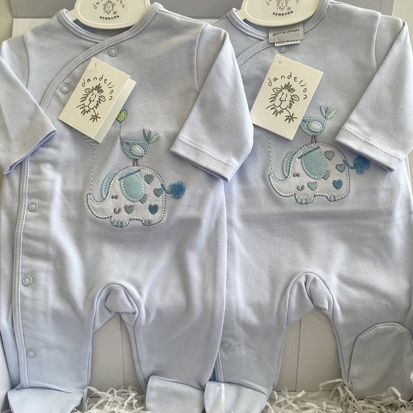 Jack and Jacob - Dandelion luxury cute day out gift box for twins