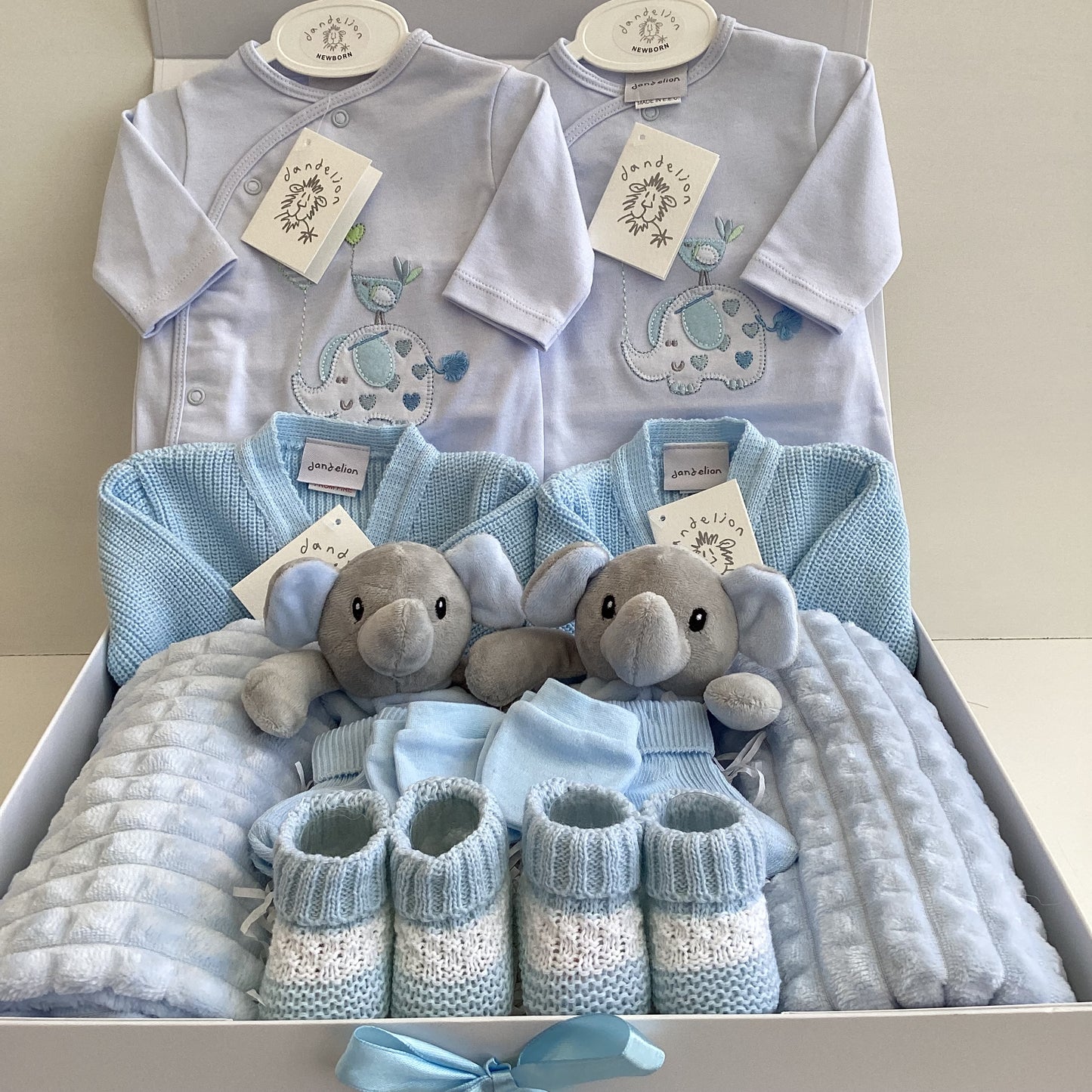 Jack and Jacob - Dandelion luxury cute day out gift box for twins