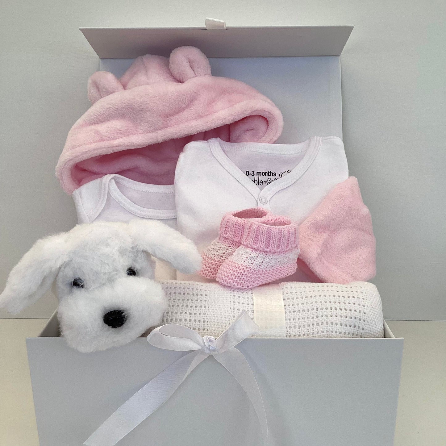 MILLIE- Pink dressing gown and cuddly puppy gift box