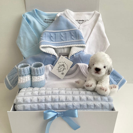 SHAY- Blue Dandelion knitted jacket and sheep dog comforter gift box